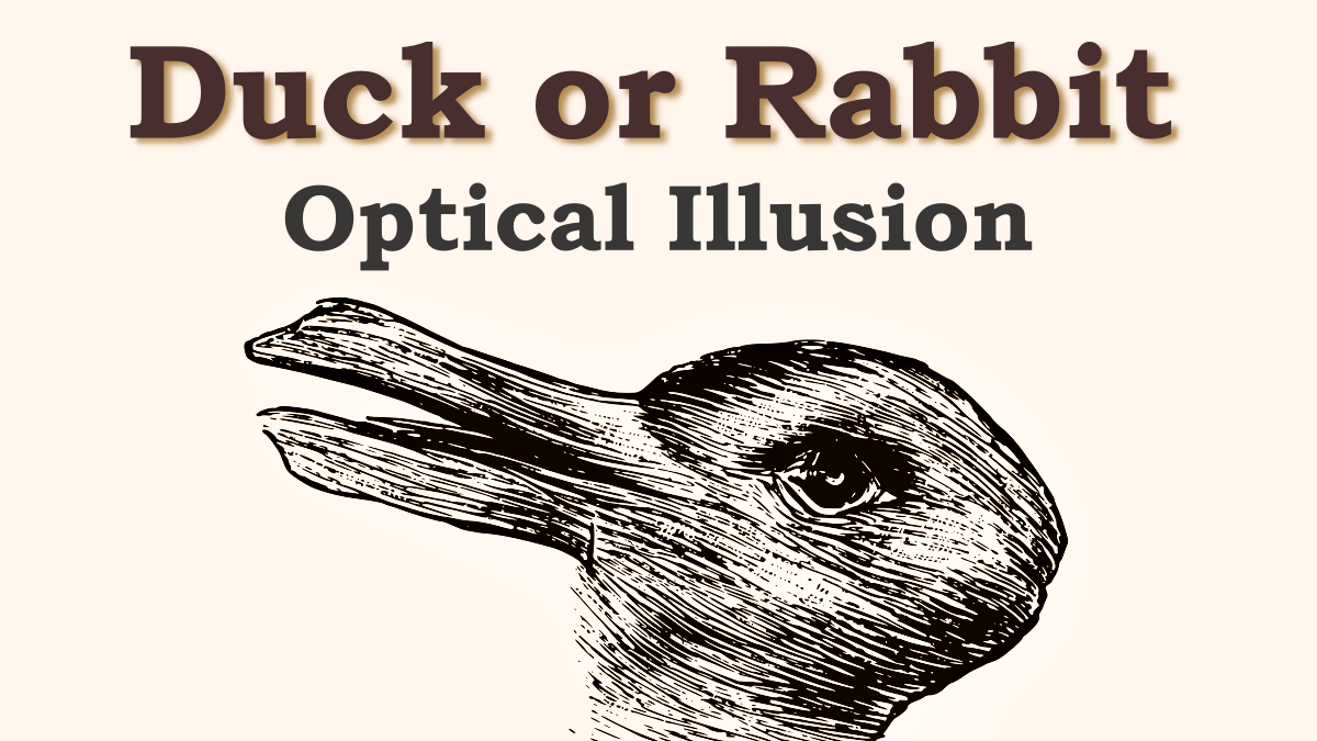 Duck or rabbit optical illusion
