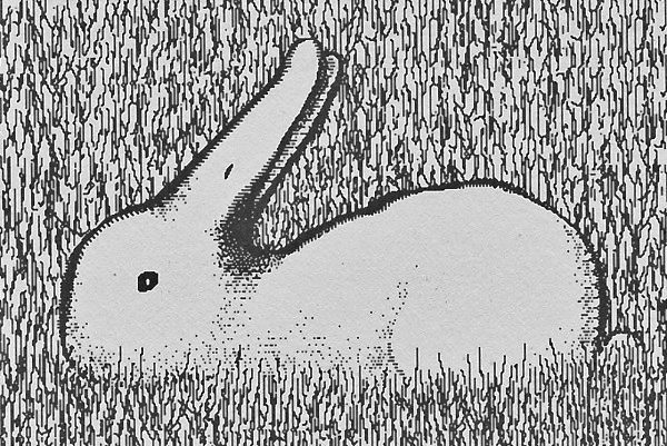 Roger Shepard: Rabbit or duck illusion